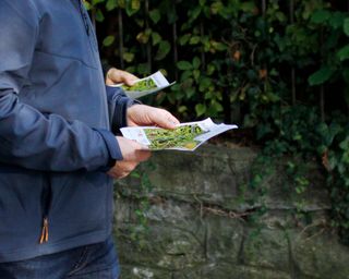 City-OL App auf dem Smartphone