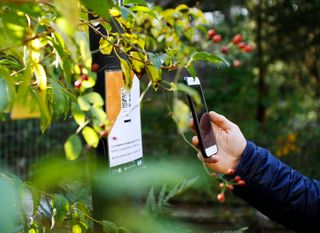 Erfassen eines Postens durch scannen vom QR Code